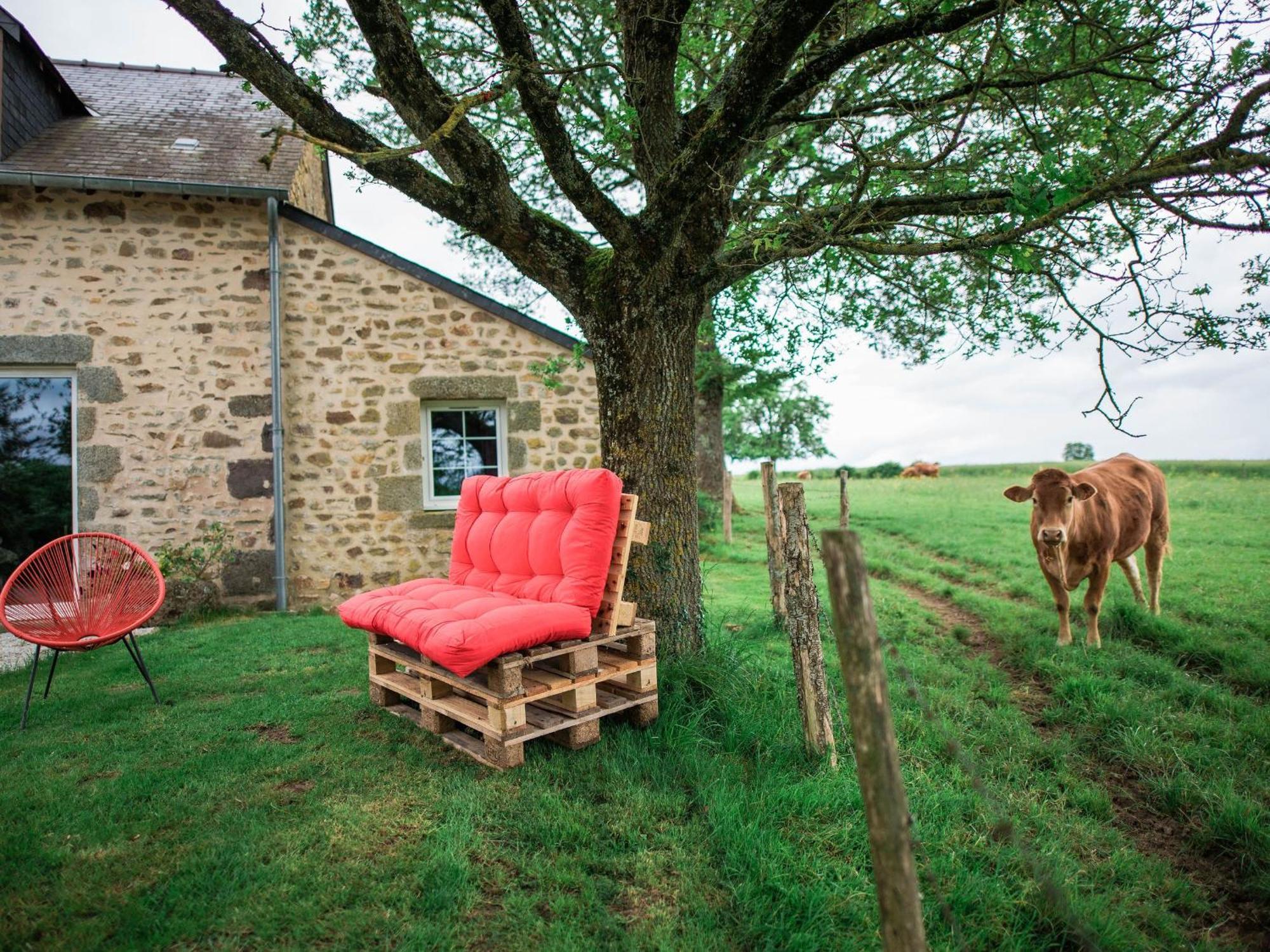 Gite De Charme Renove Avec Cheminee, Terrasse Et Proche Randonnees - Capacite 13 Pers. - Fr-1-410-179 Saint-Léonard-des-Bois Kültér fotó